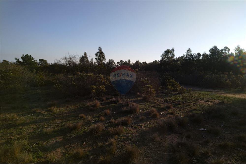 Terreno en venta en El Quisco — foto 3