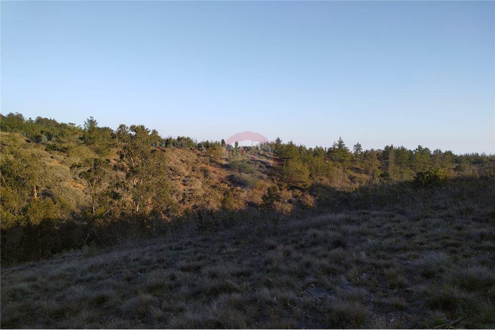 Terreno en venta en El Quisco — foto 4