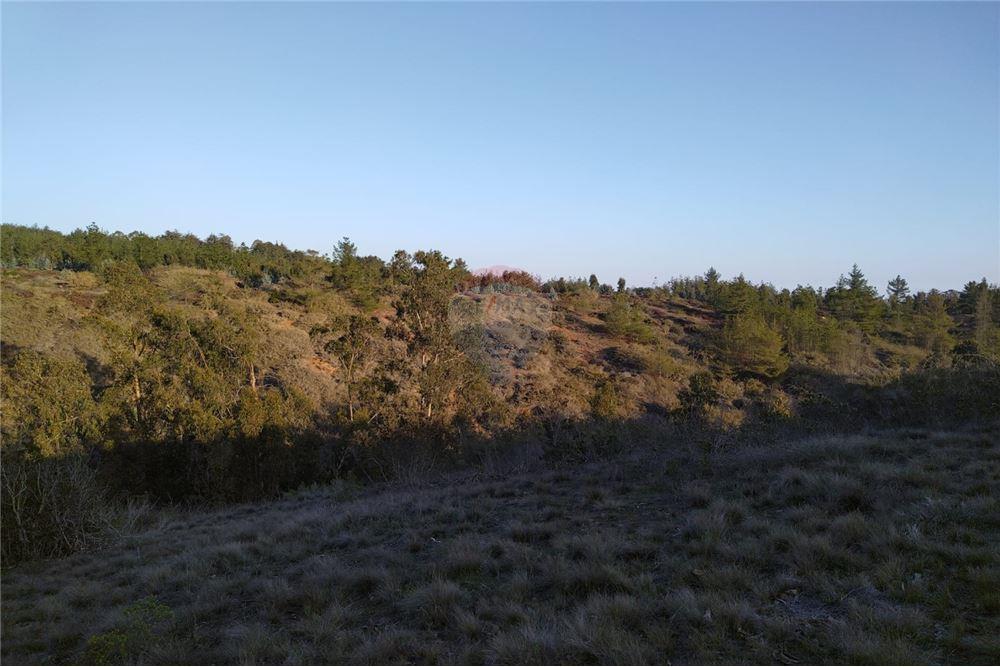 Terreno en venta en El Quisco — foto 5