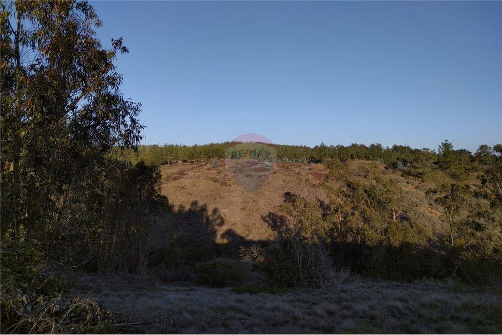 Terreno en venta en El Quisco — foto 6