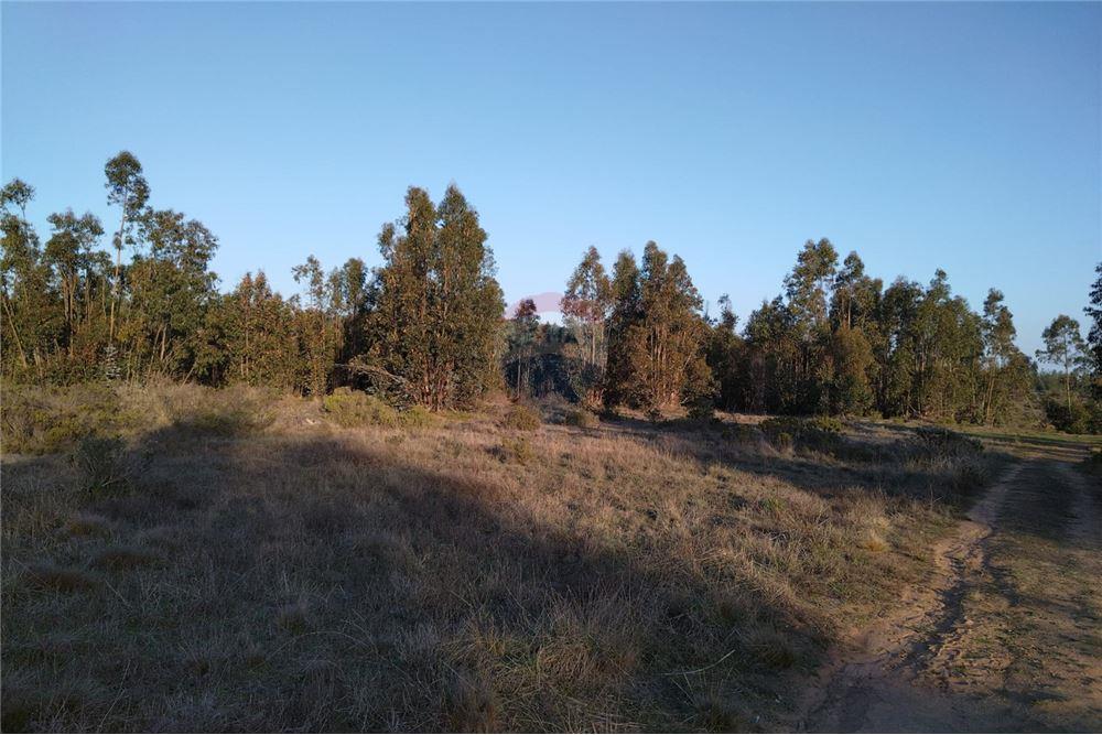 Terreno en venta en El Quisco — foto 7