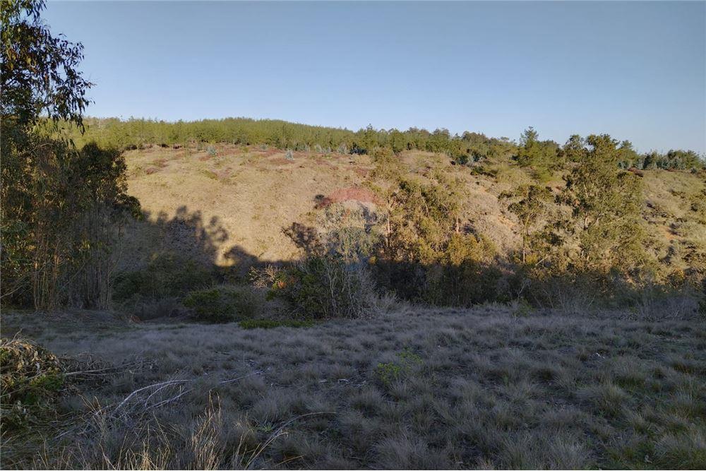 Terreno en venta en El Quisco — foto 8