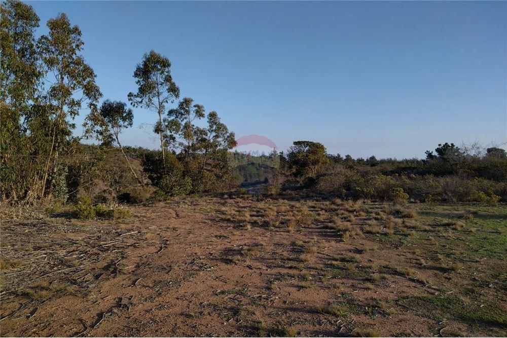Terreno en venta en El Quisco — foto 10