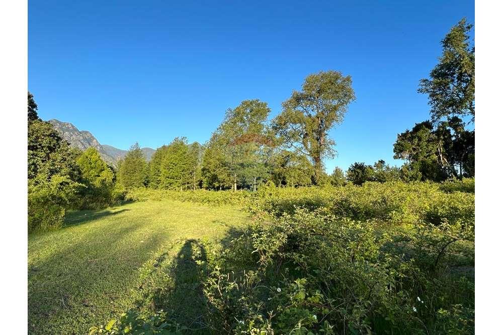 Terreno en venta en Pucón — foto 3