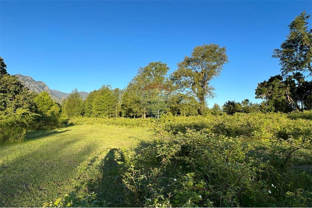 Terreno en venta en Pucón — foto 6