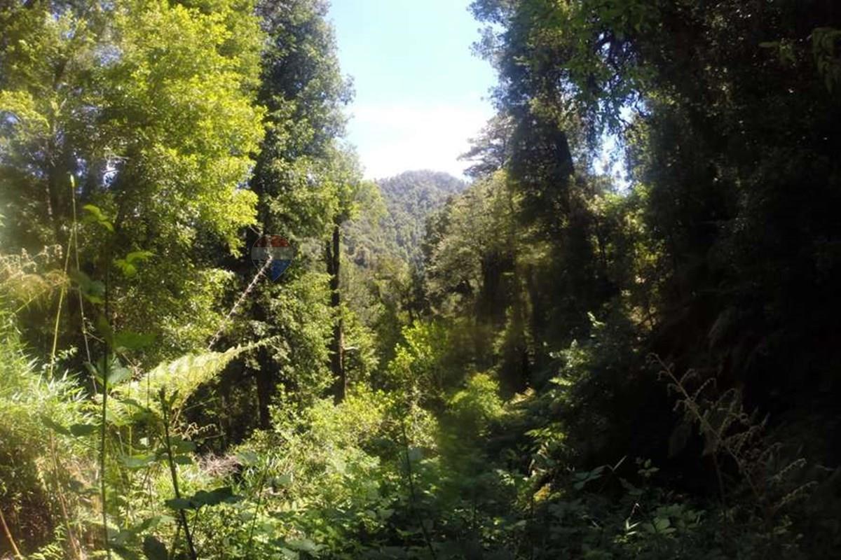 Terreno en venta en Pucón — foto 5