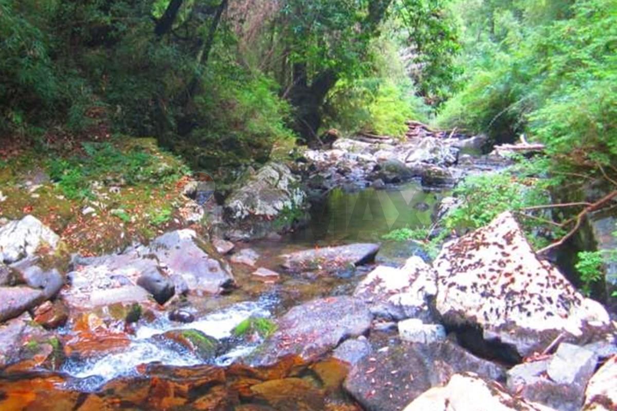 Terreno en venta en Pucón — foto 9