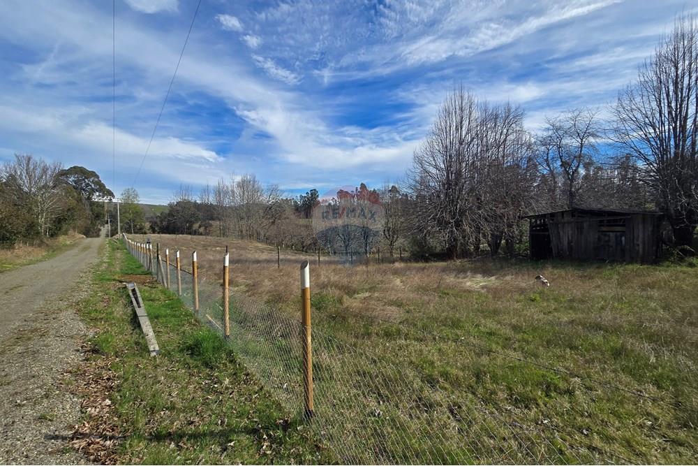 Parcela en venta en Gorbea — foto 3