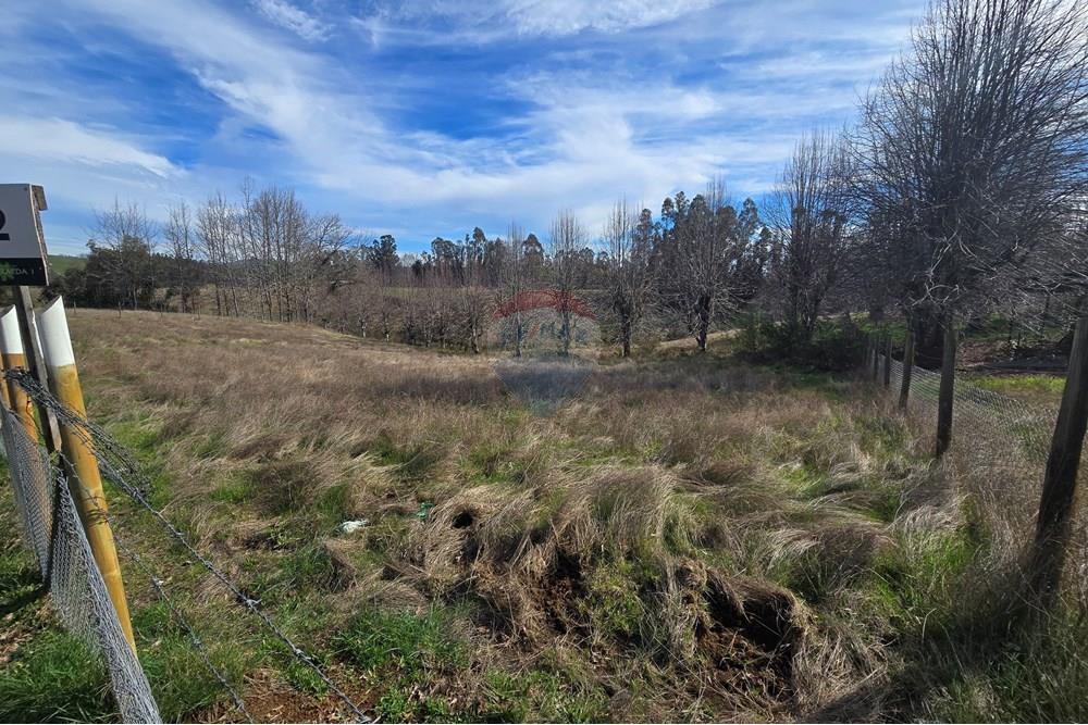 Parcela en venta en Gorbea — foto 4