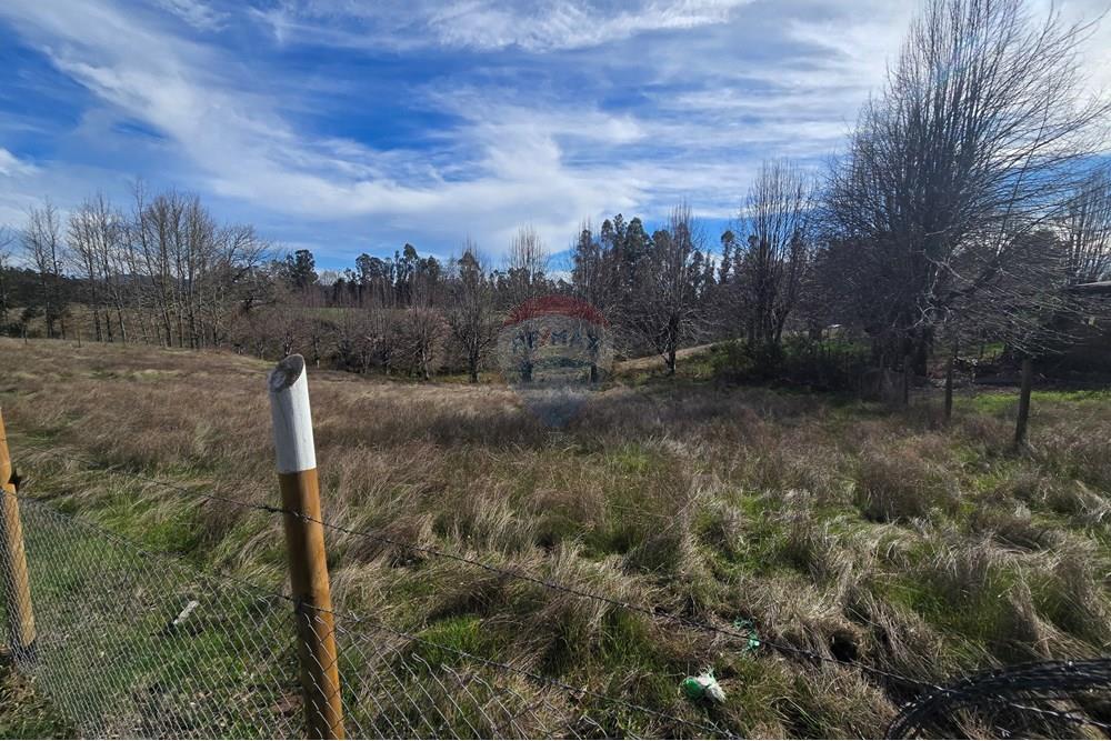 Parcela en venta en Gorbea — foto 5