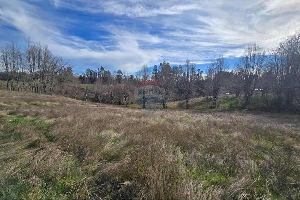Parcela en venta en Gorbea — foto 8