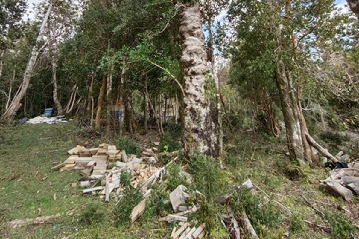 Parcela en venta en Mariquina — foto 4