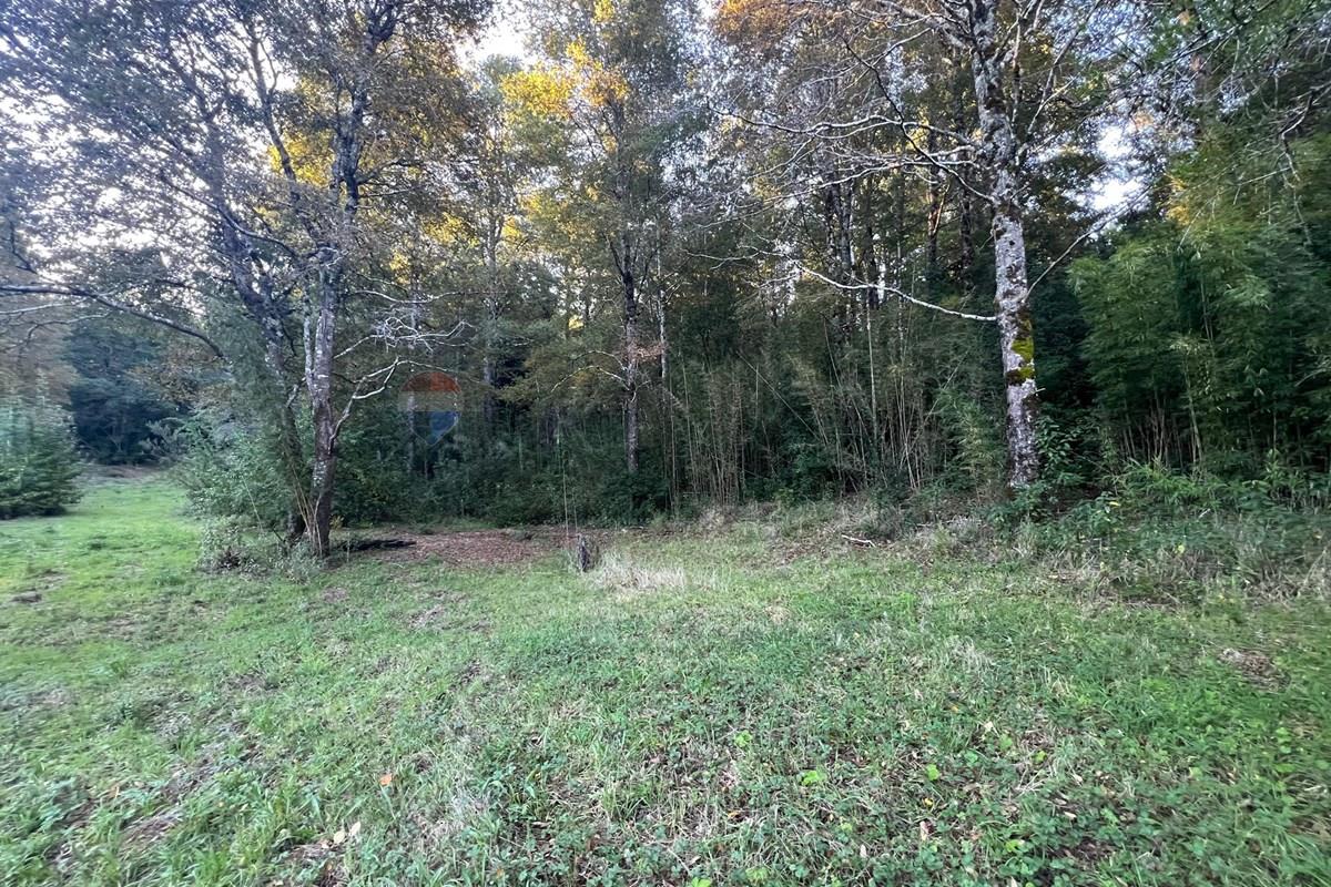 Terreno en venta en Pucón — foto 1