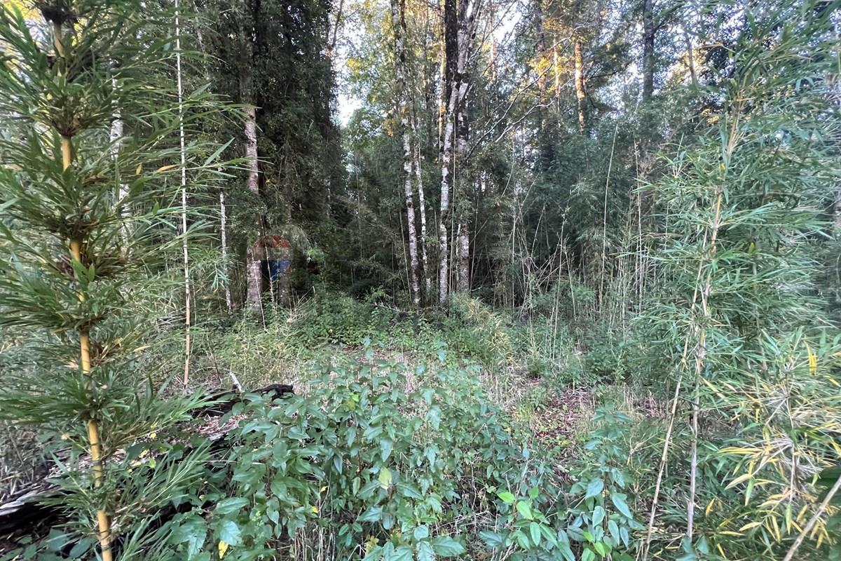Terreno en venta en Pucón — foto 3