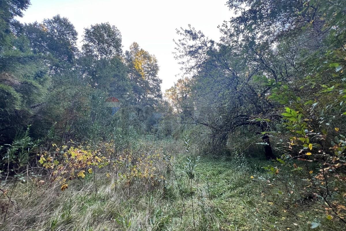 Terreno en venta en Pucón — foto 5