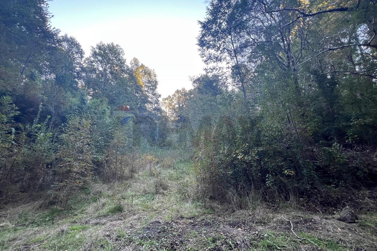Terreno en venta en Pucón — foto 6