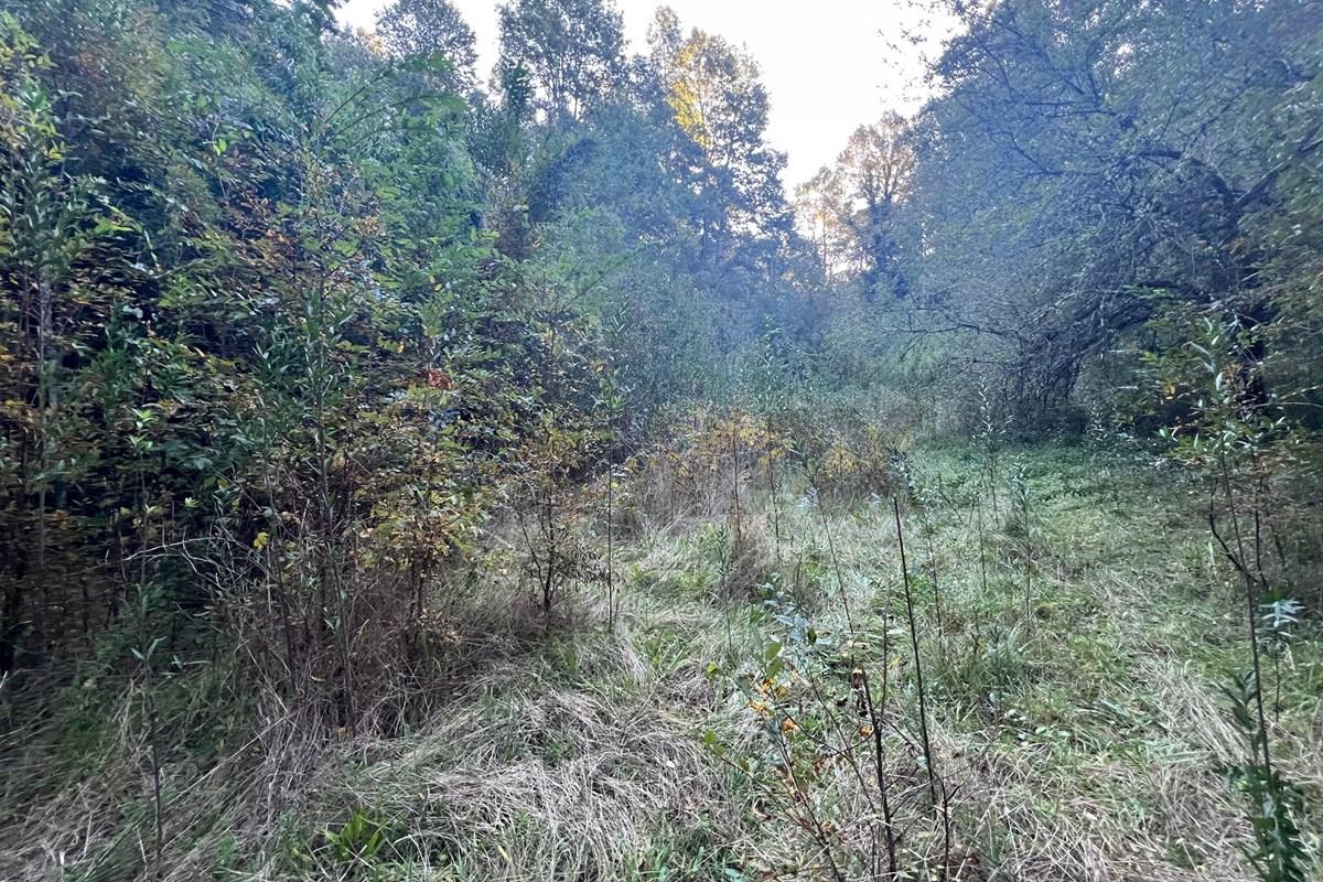 Terreno en venta en Pucón — foto 7