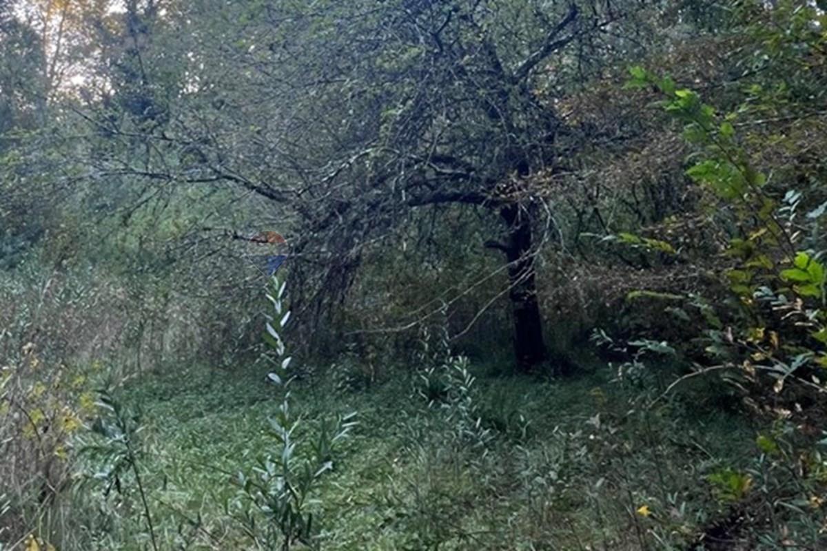 Terreno en venta en Pucón — foto 9