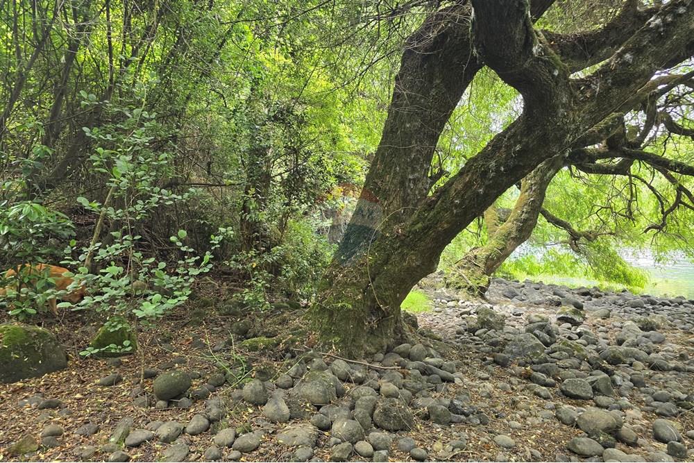 Terreno en venta en Villarrica — foto 2