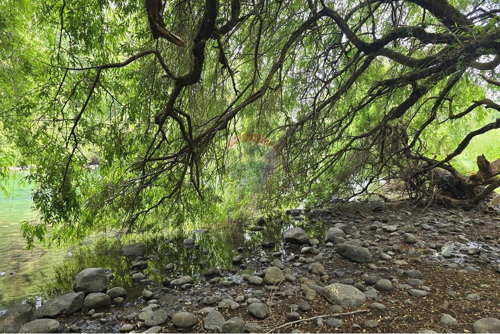 Terreno en venta en Villarrica — foto 5