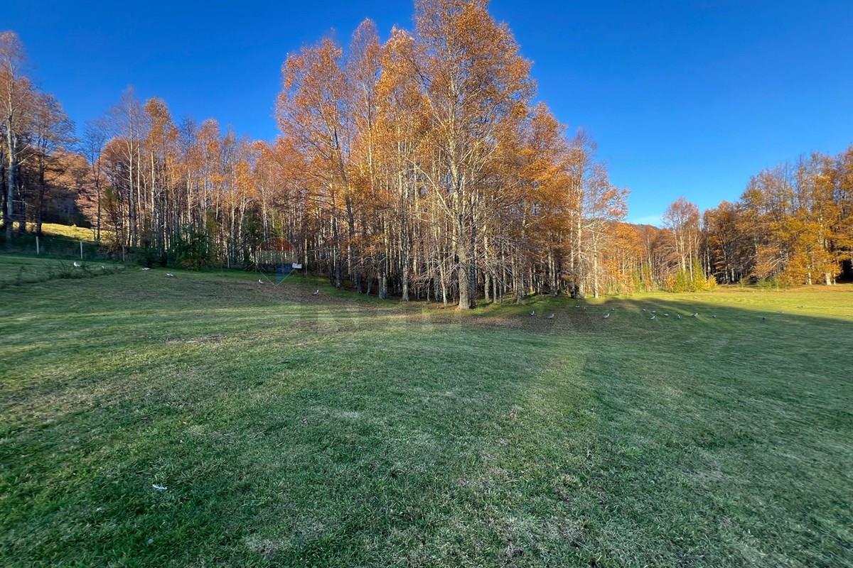 Terreno en venta en Pucón — foto 3