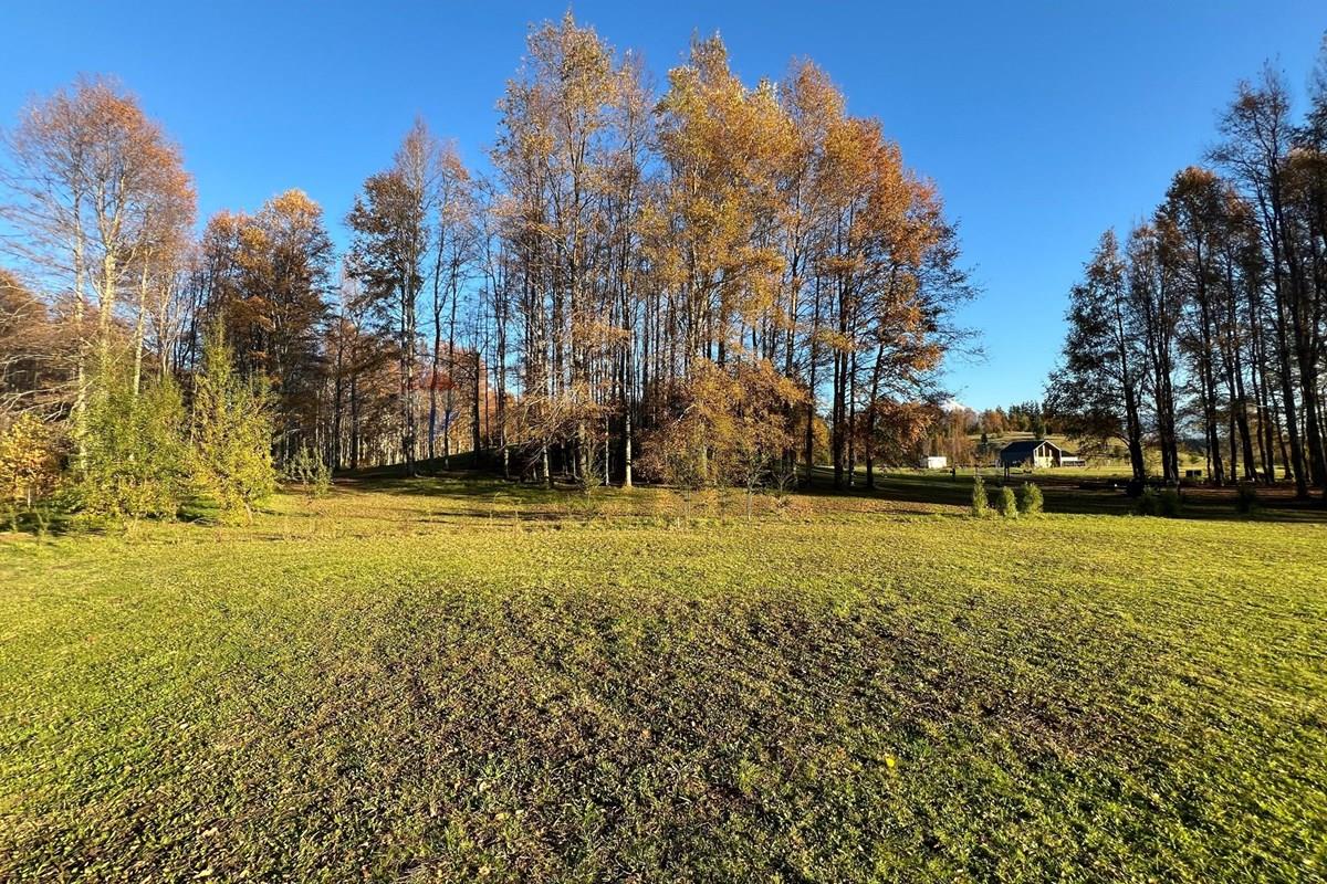 Terreno en venta en Pucón — foto 6