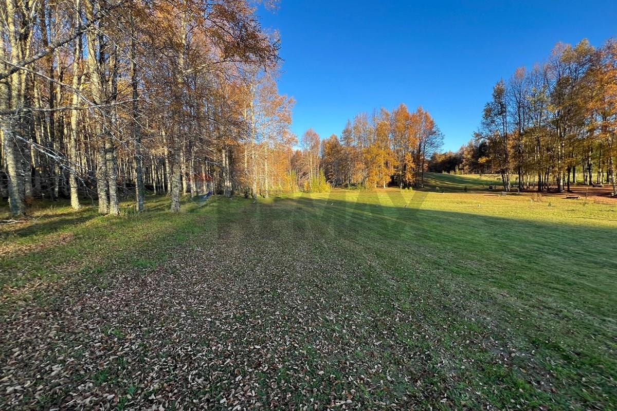 Terreno en venta en Pucón — foto 7