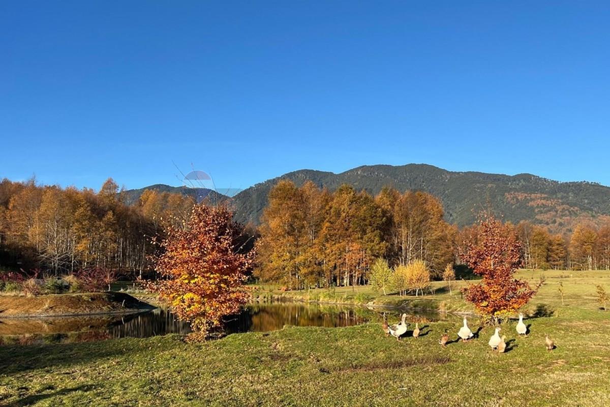 Terreno en venta en Pucón — foto 8