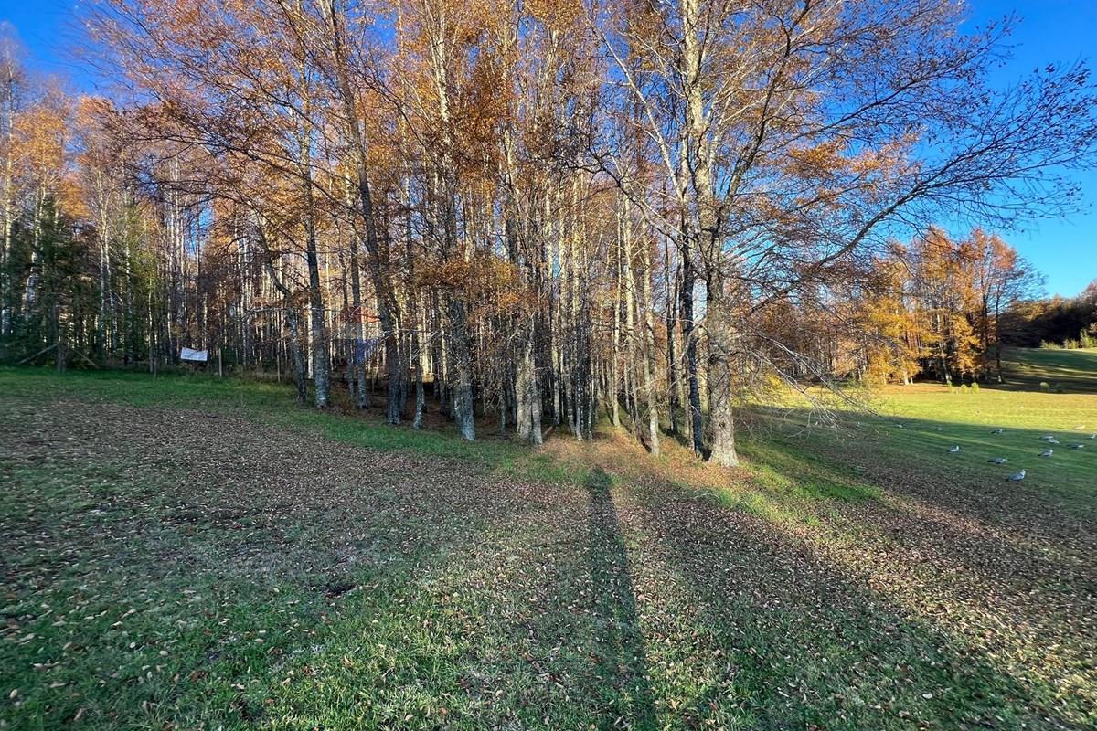 Terreno en venta en Pucón — foto 10