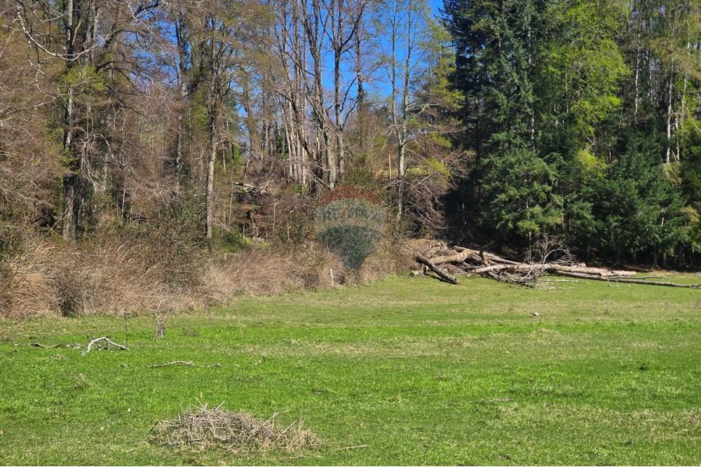 Parcela en venta en Villarrica — foto 4