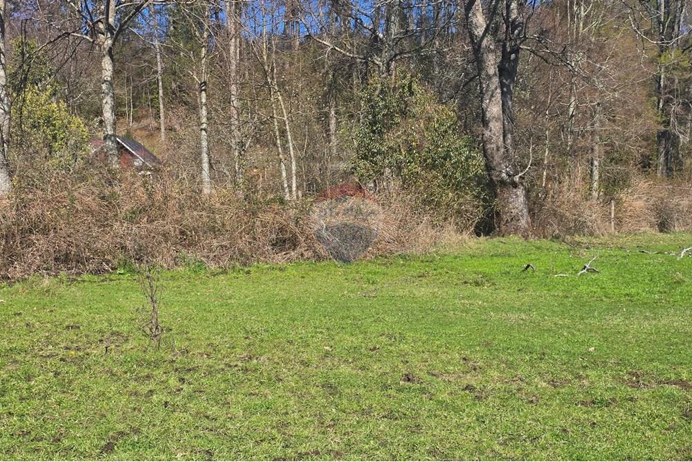 Parcela en venta en Villarrica — foto 5