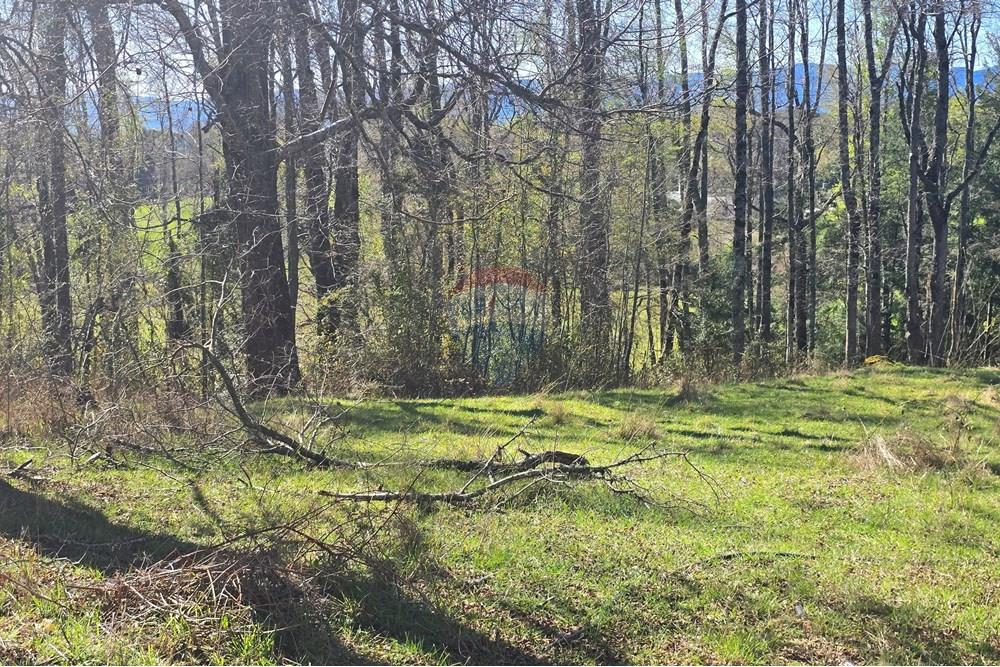 Parcela en venta en Villarrica — foto 6