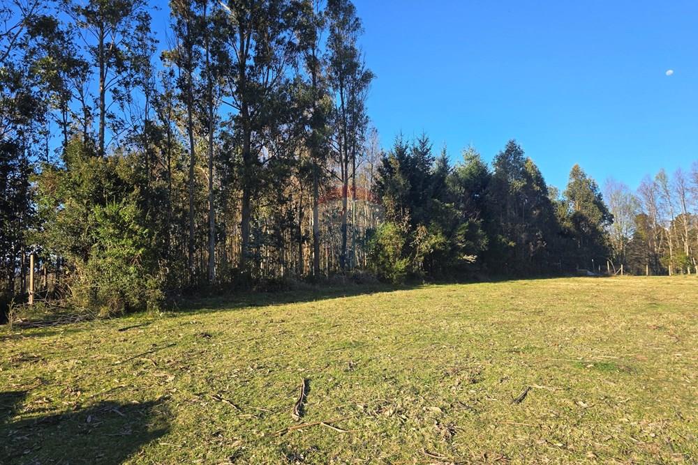 Parcela en venta en Villarrica — foto 2
