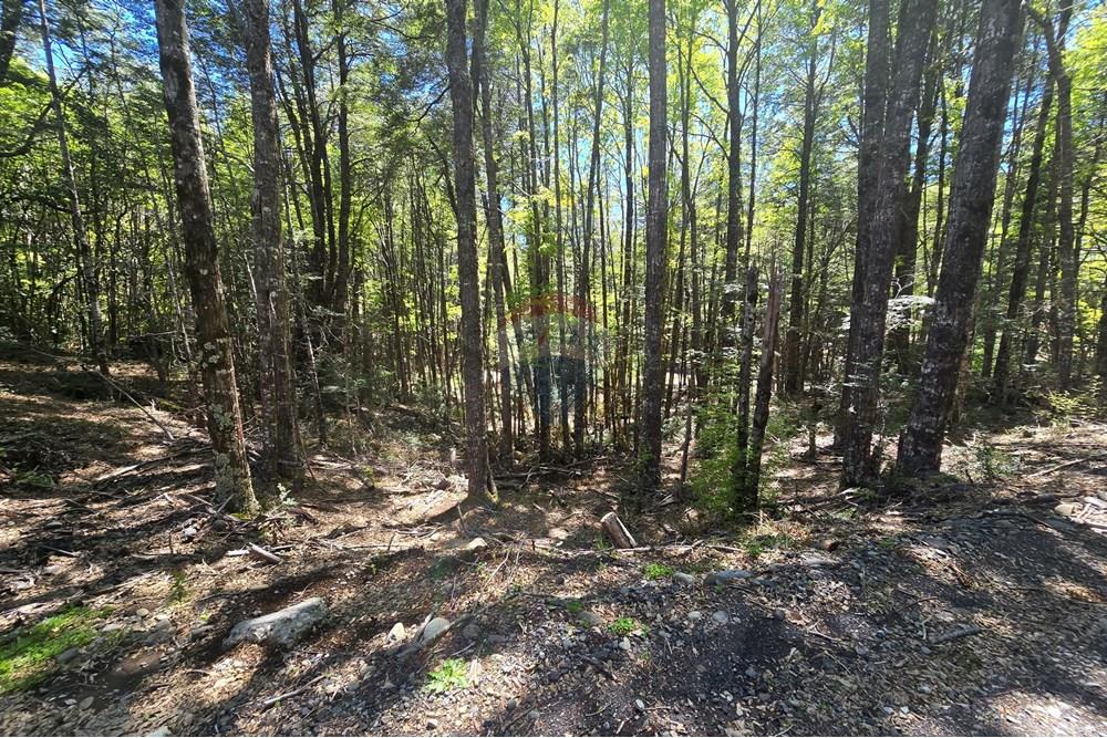 Terreno en venta en Pucón — foto 1