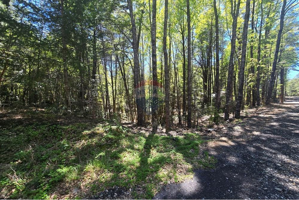 Terreno en venta en Pucón — foto 2