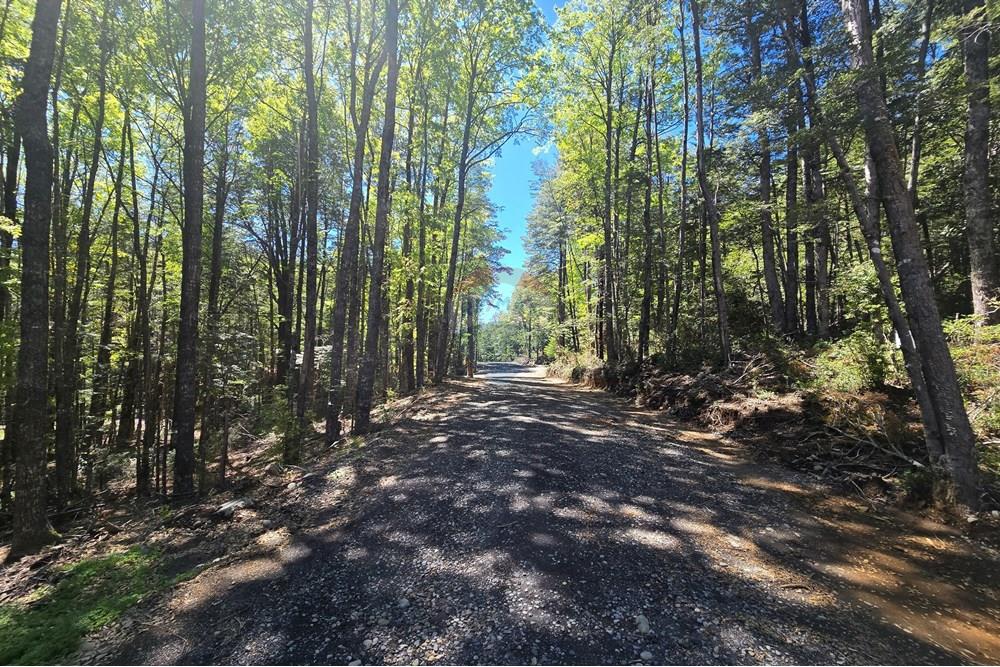 Terreno en venta en Pucón — foto 4