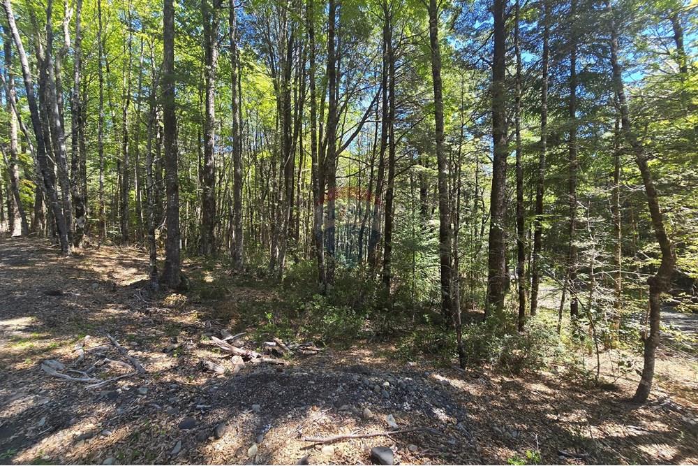 Terreno en venta en Pucón — foto 6