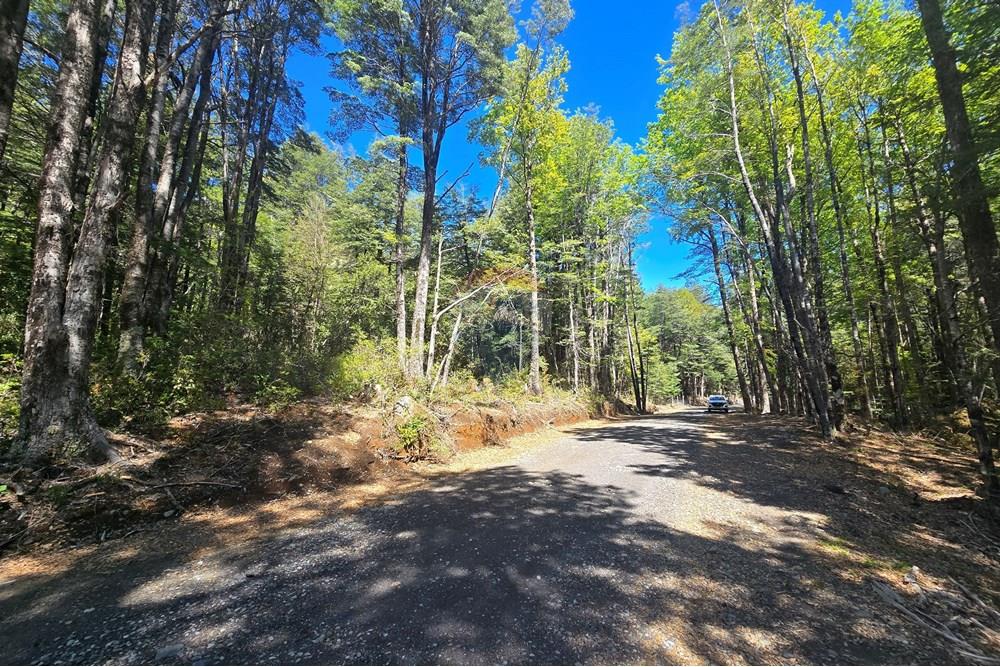 Terreno en venta en Pucón — foto 7