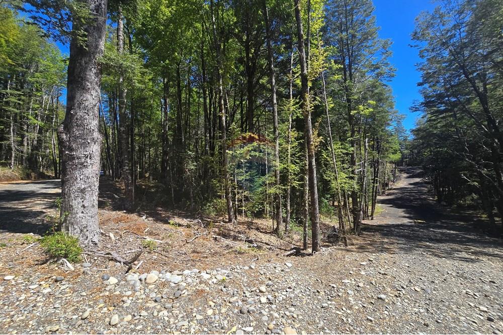 Terreno en venta en Pucón — foto 8