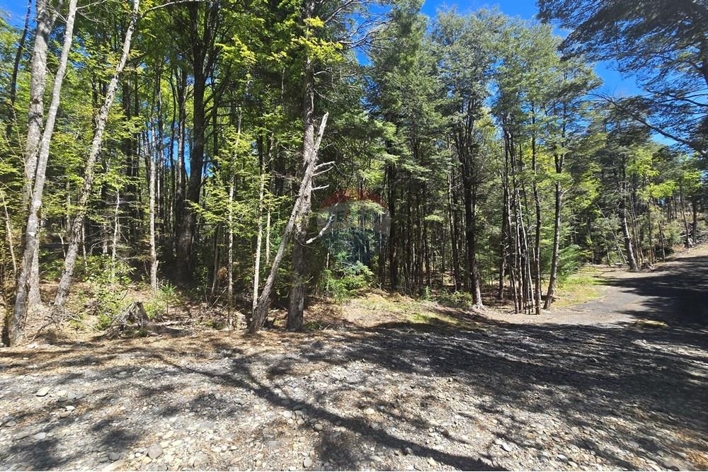 Terreno en venta en Pucón — foto 10