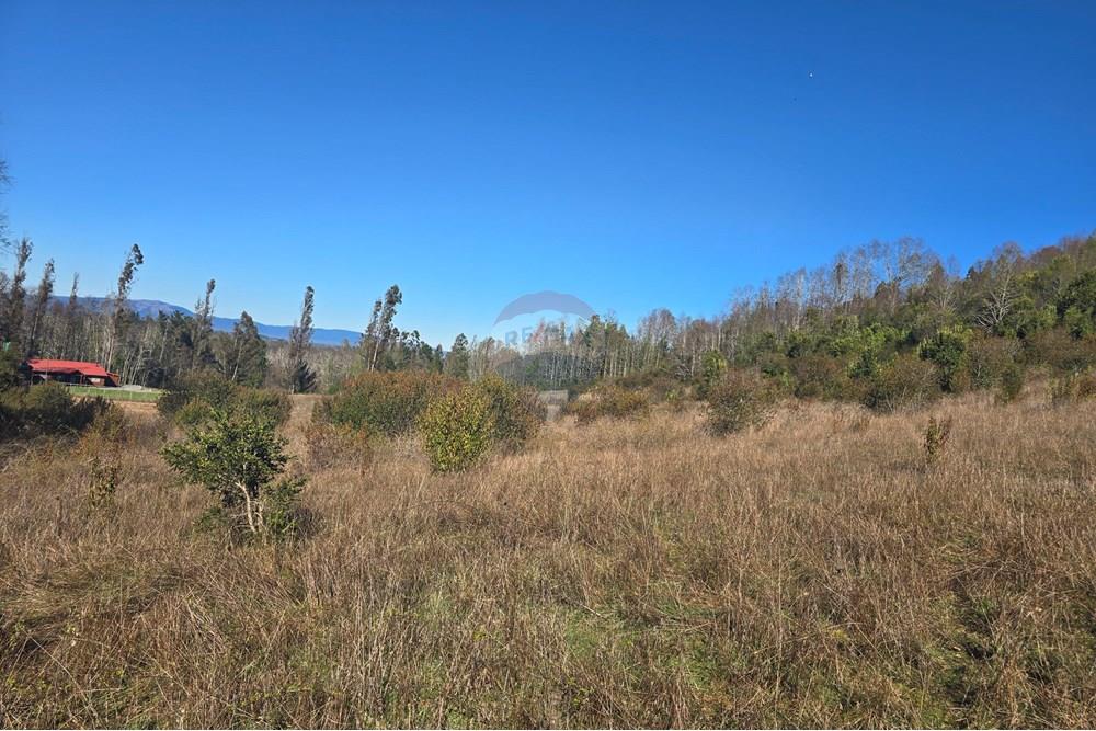 Parcela en venta en Villarrica — foto 2