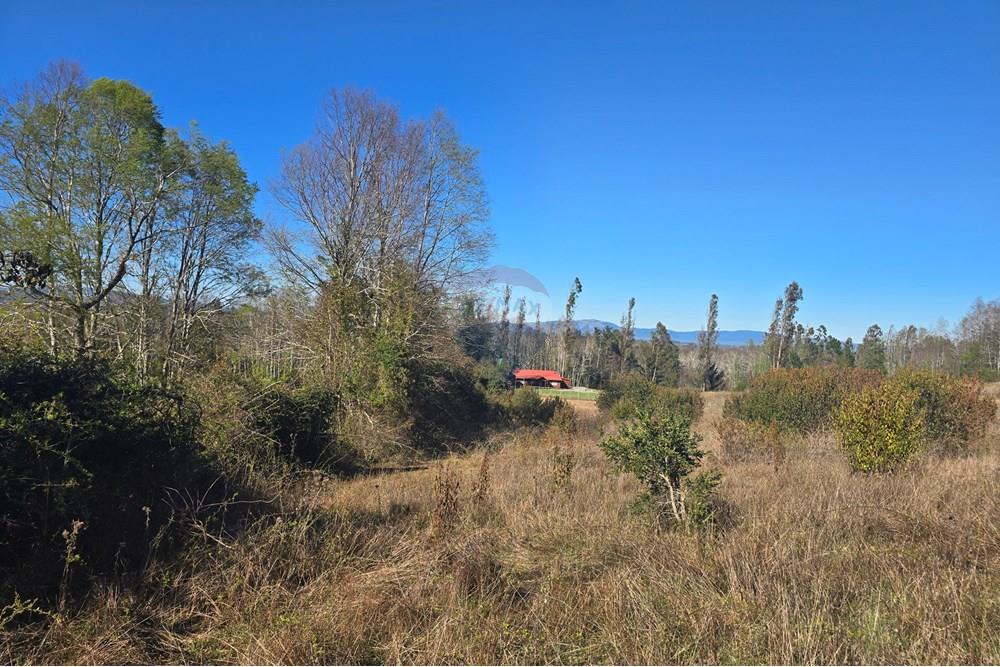 Parcela en venta en Villarrica — foto 3