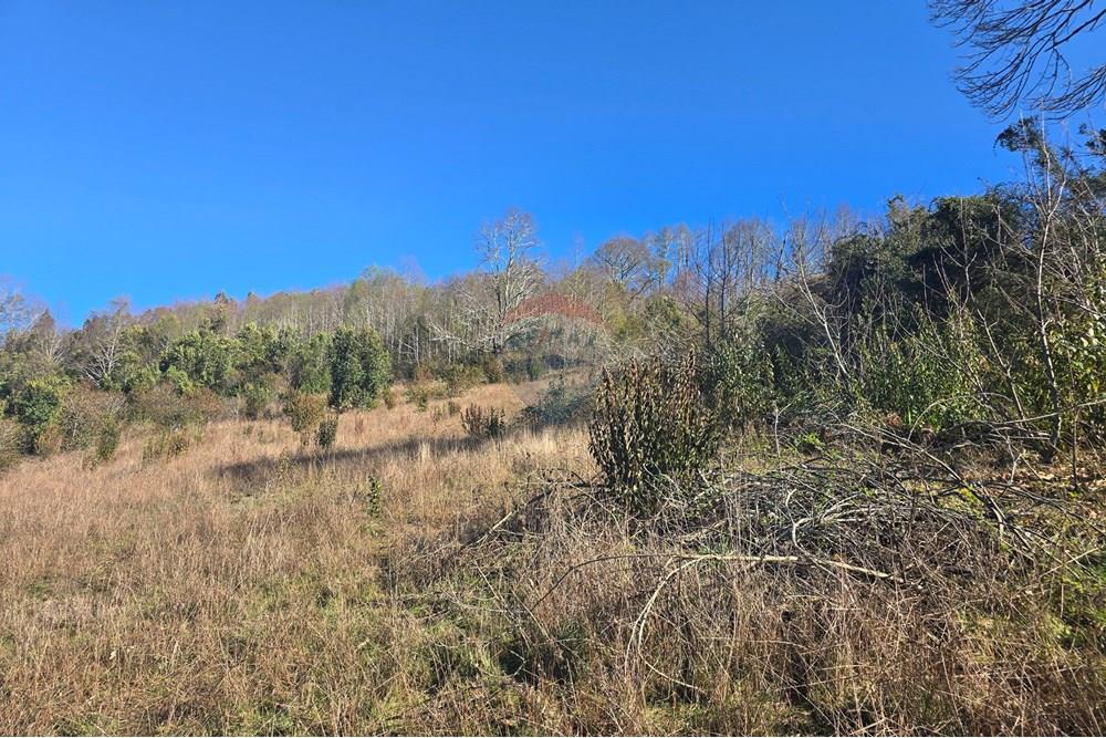 Parcela en venta en Villarrica — foto 4
