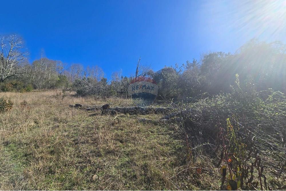 Parcela en venta en Villarrica — foto 10