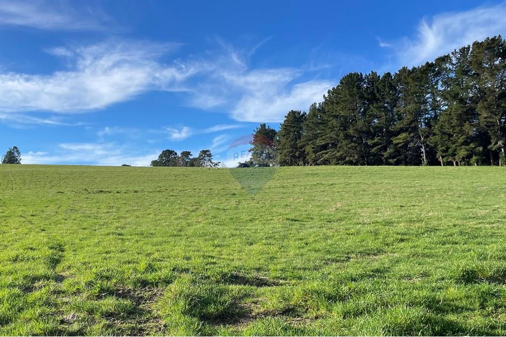 Parcela en venta en Panguipulli — foto 3