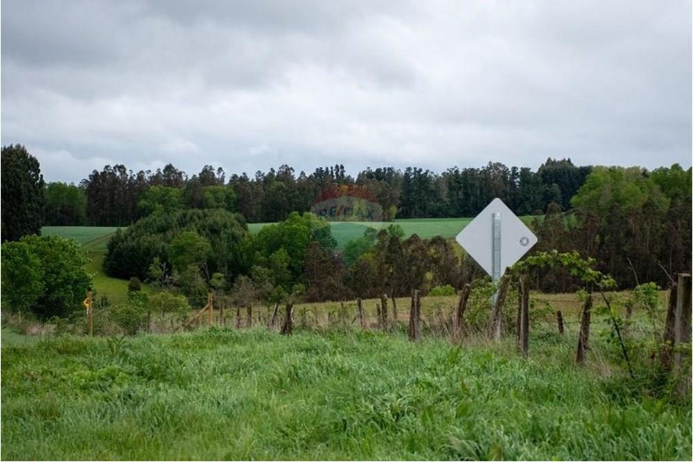 Terreno en venta en La Unión — foto 5