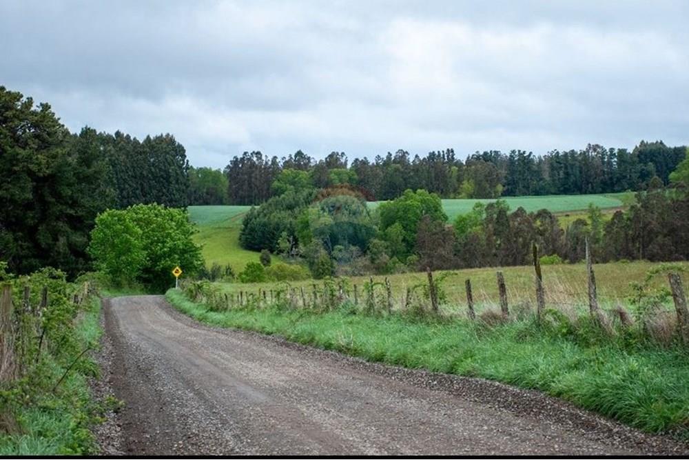 Terreno en venta en La Unión — foto 6
