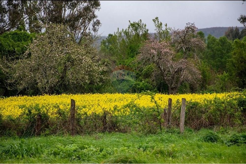 Terreno en venta en La Unión — foto 7