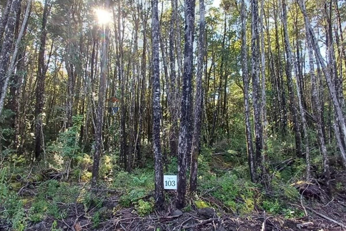 Terreno en venta en Pucón — foto 3