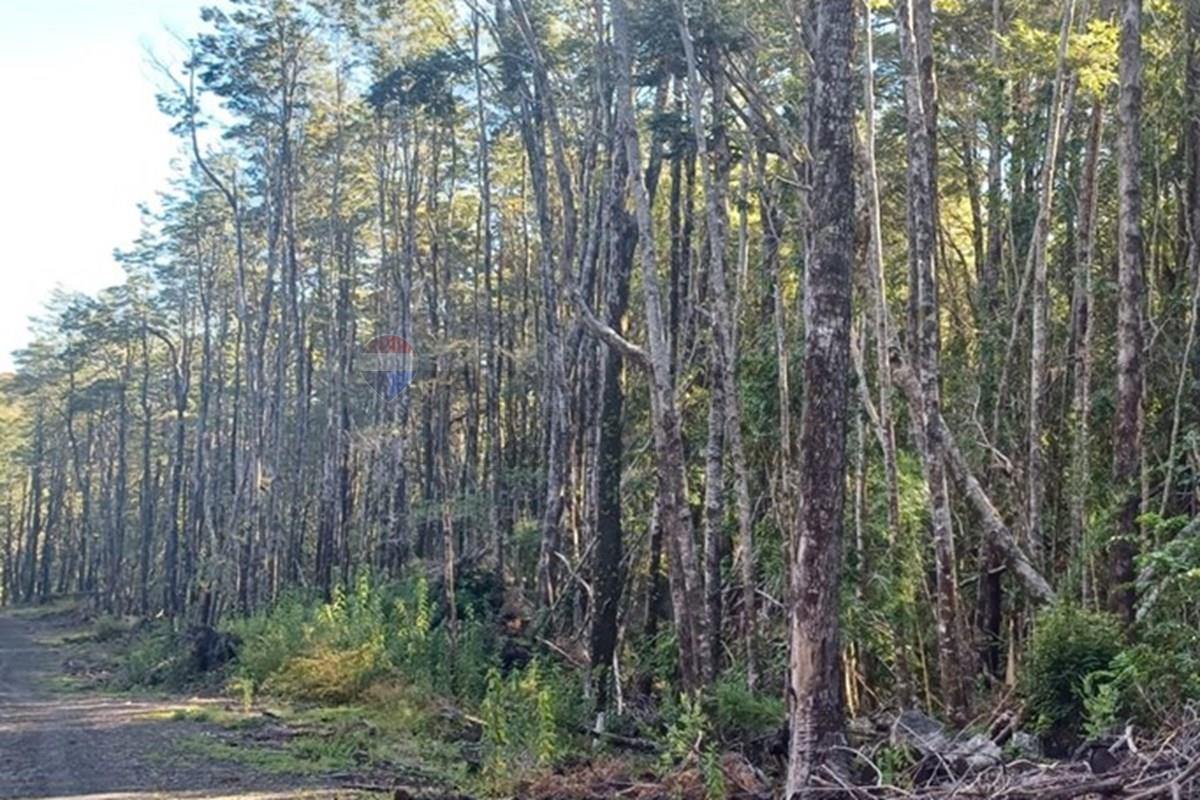Terreno en venta en Pucón — foto 4